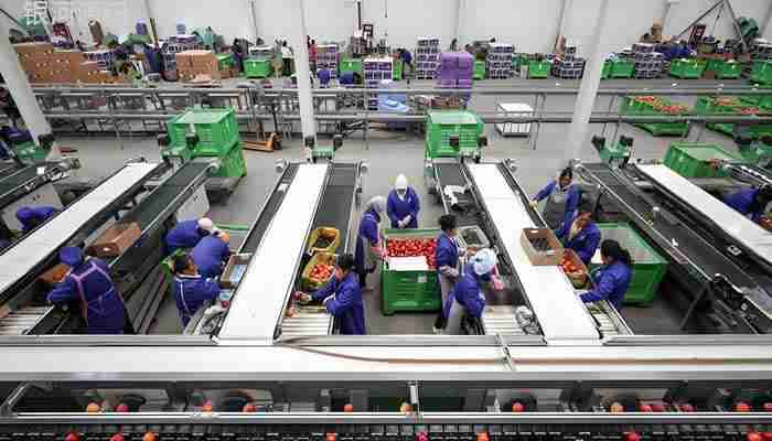 果蔬加工生产线订制厂